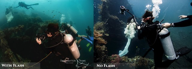Flash noflash underwater vonwong