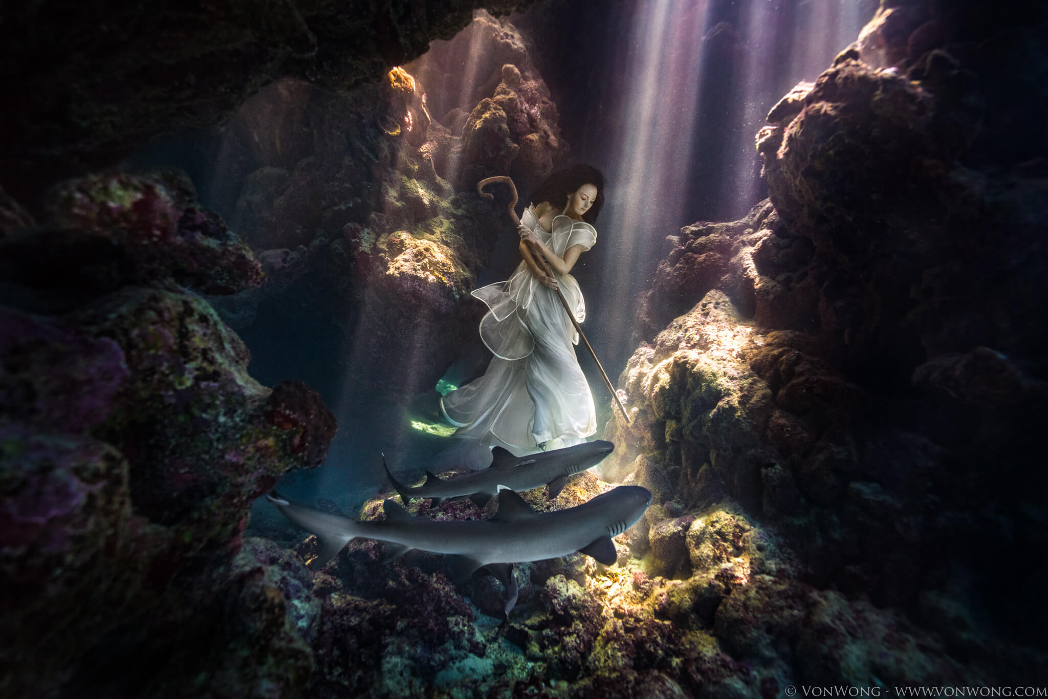 Model Tied Down with Sharks to Create Surreal Shark Shepherd